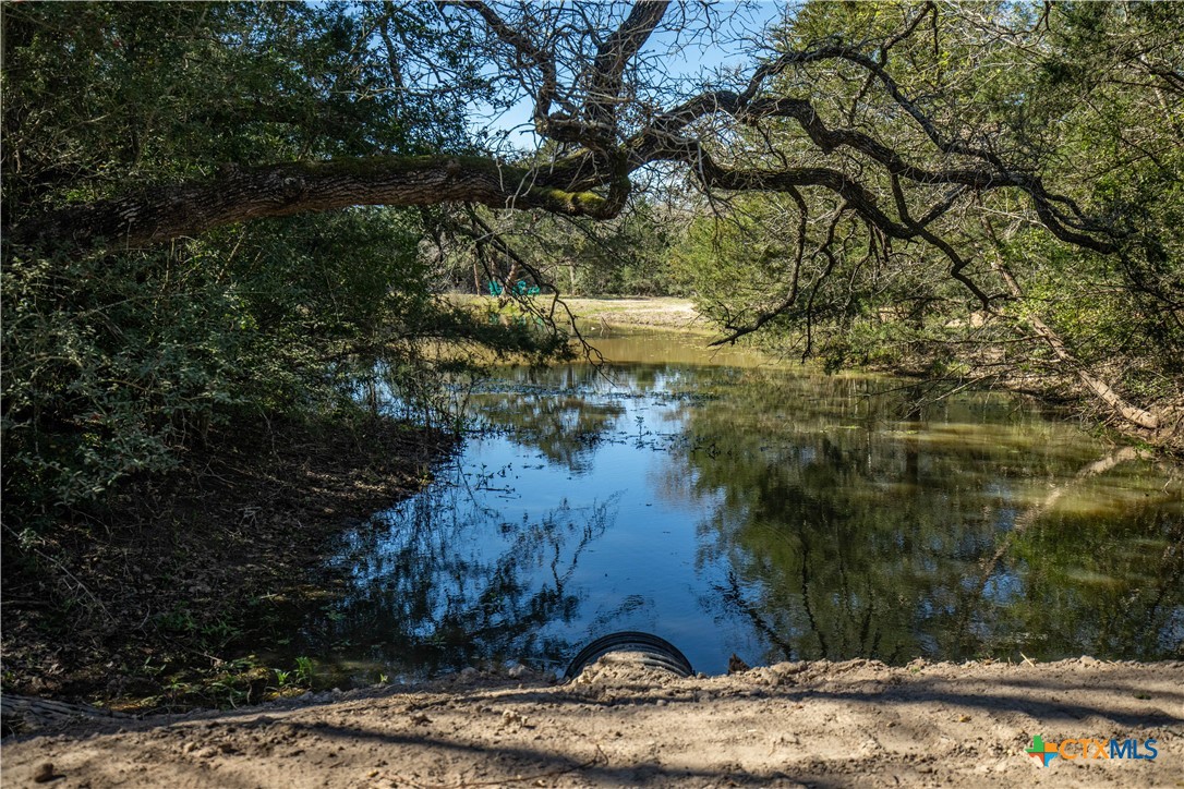 10791 Roy Road Property Photo