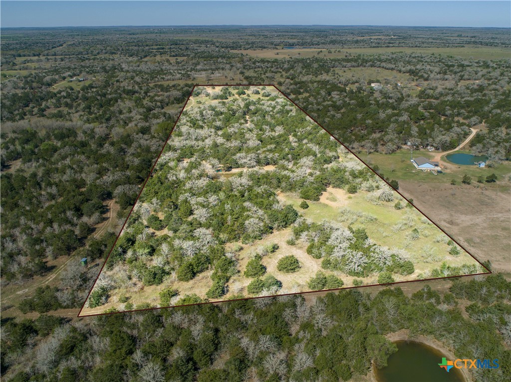 10791 Roy Road Property Photo 3