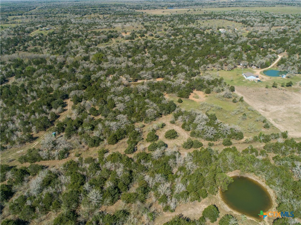 10791 Roy Road Property Photo 4