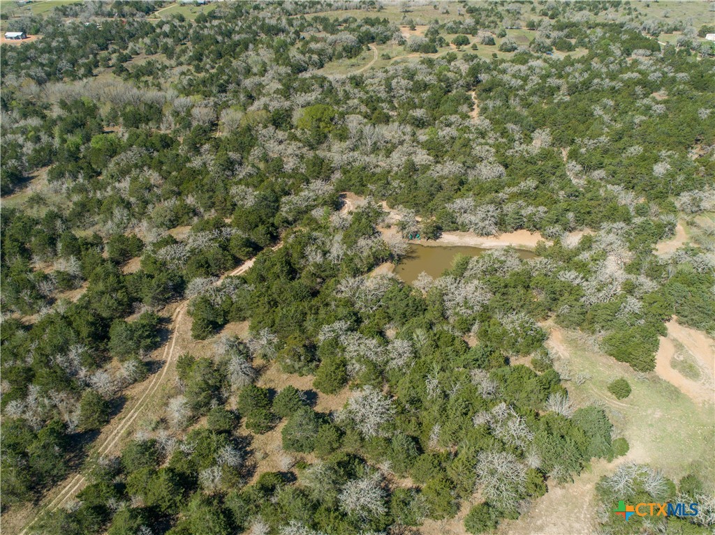 10791 Roy Road Property Photo 7