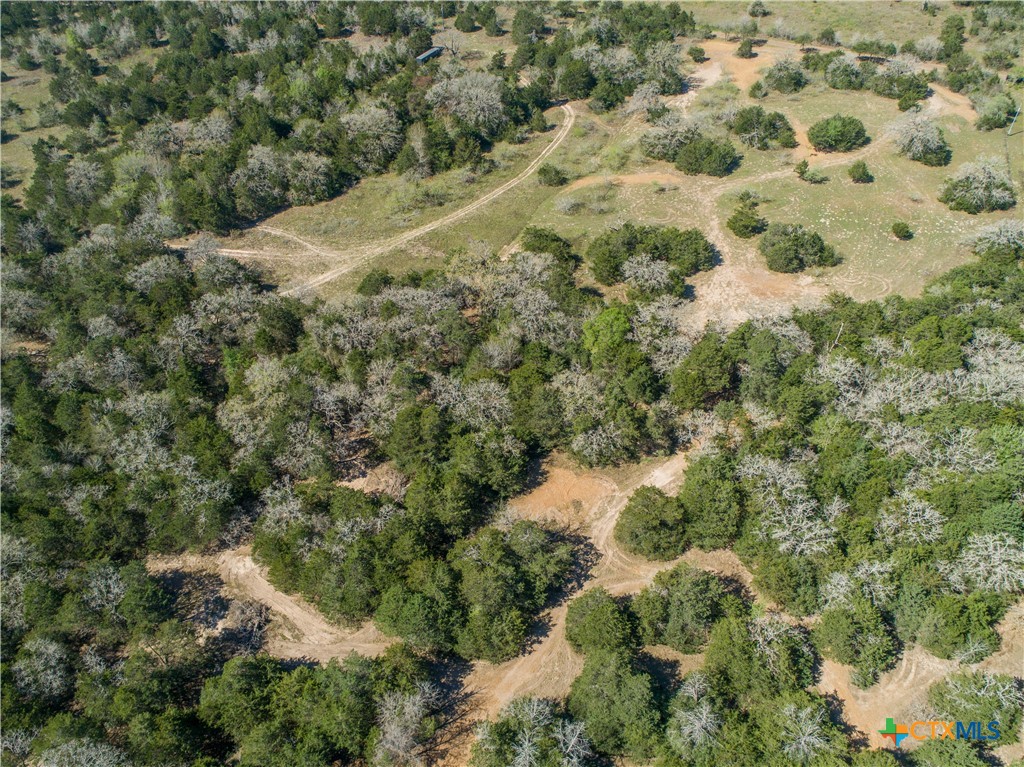 10791 Roy Road Property Photo 8