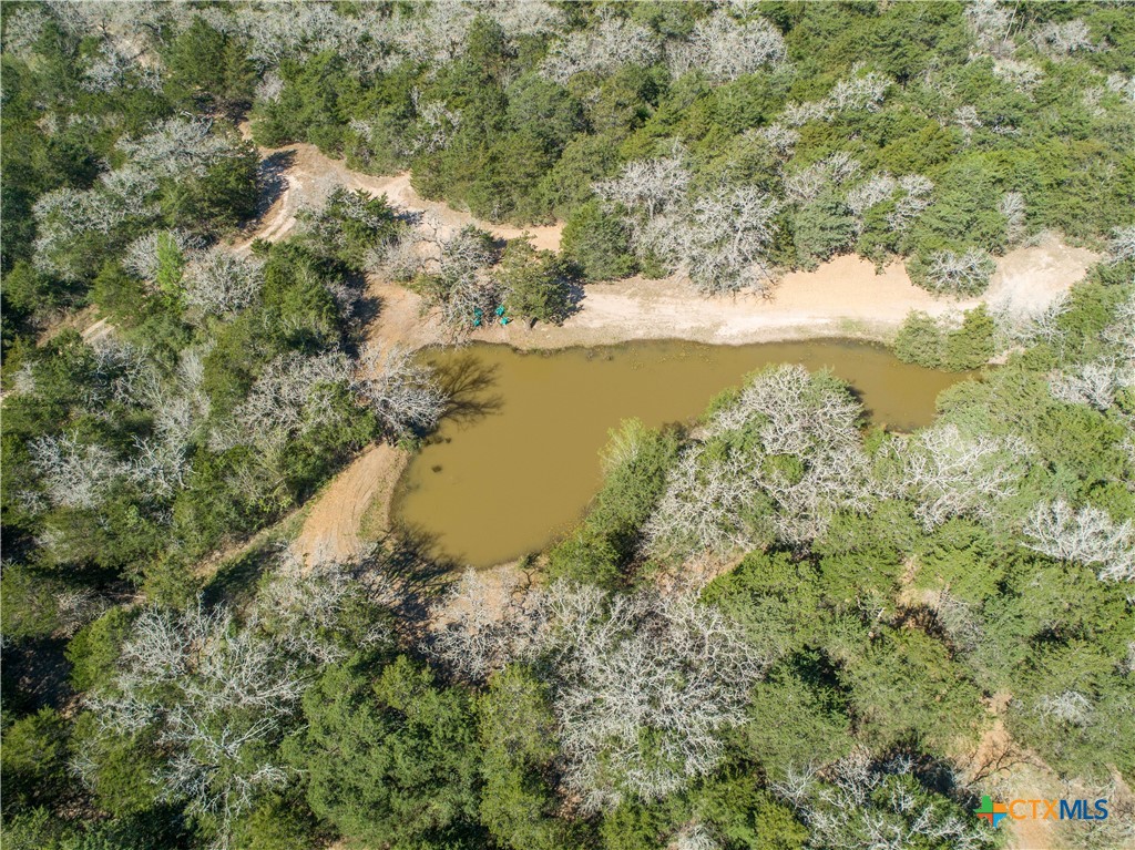 10791 Roy Road Property Photo 9