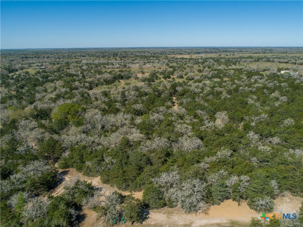 10791 Roy Road Property Photo 10