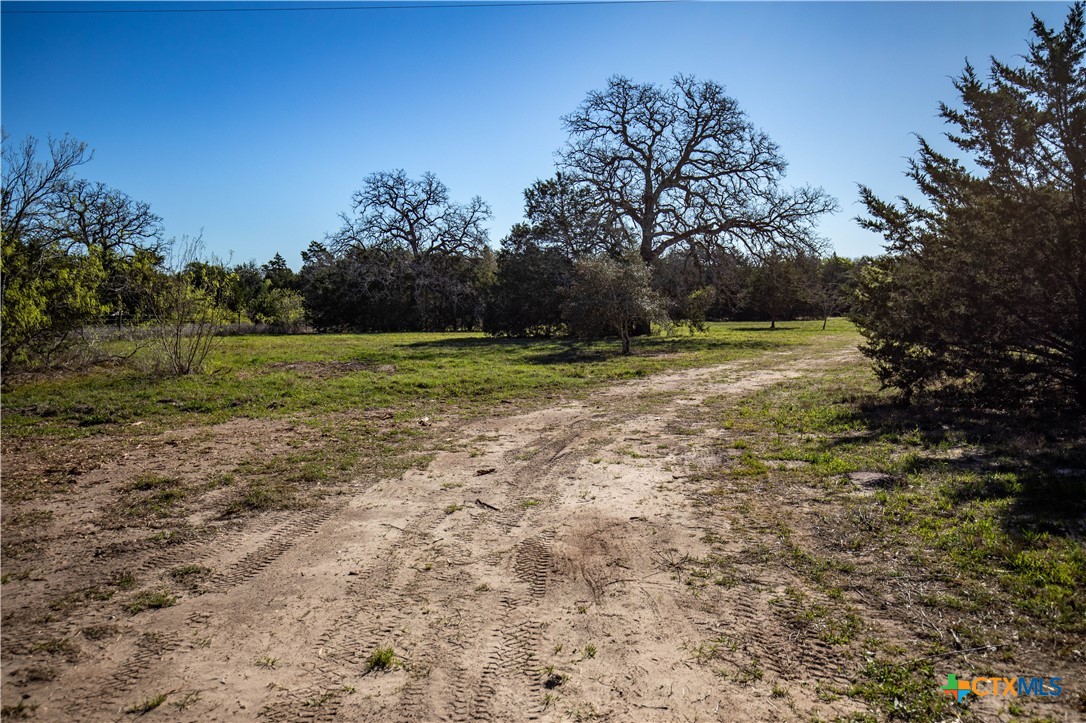 10791 Roy Road Property Photo 12