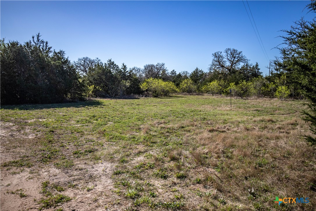 10791 Roy Road Property Photo 13