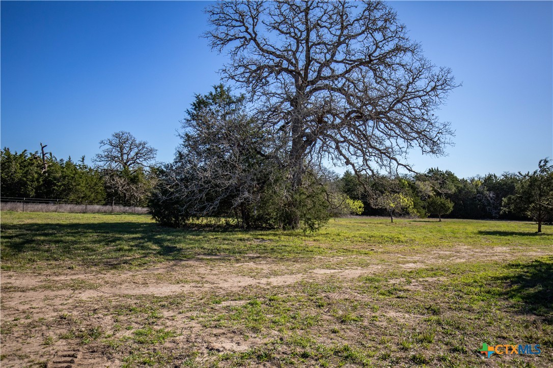 10791 Roy Road Property Photo 14