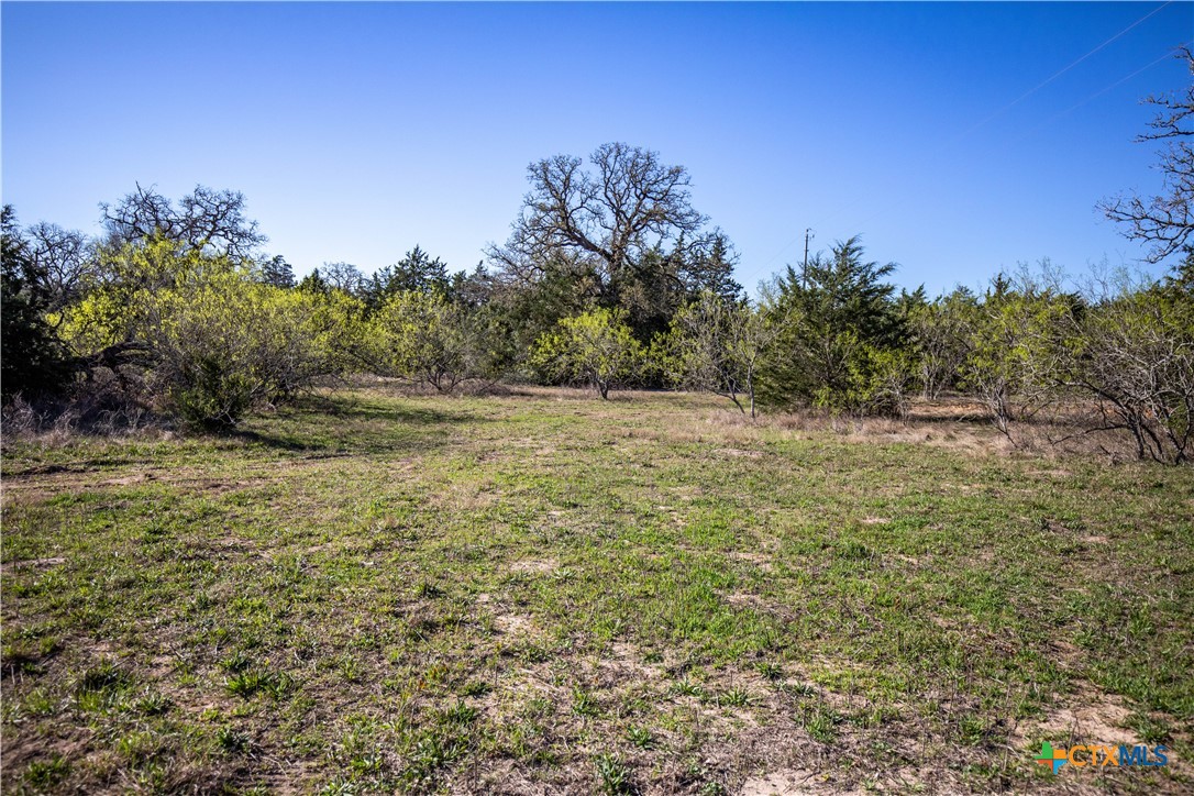 10791 Roy Road Property Photo 15