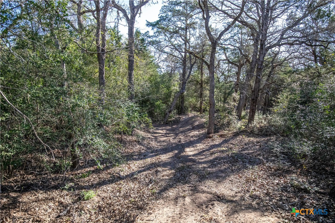 10791 Roy Road Property Photo 16