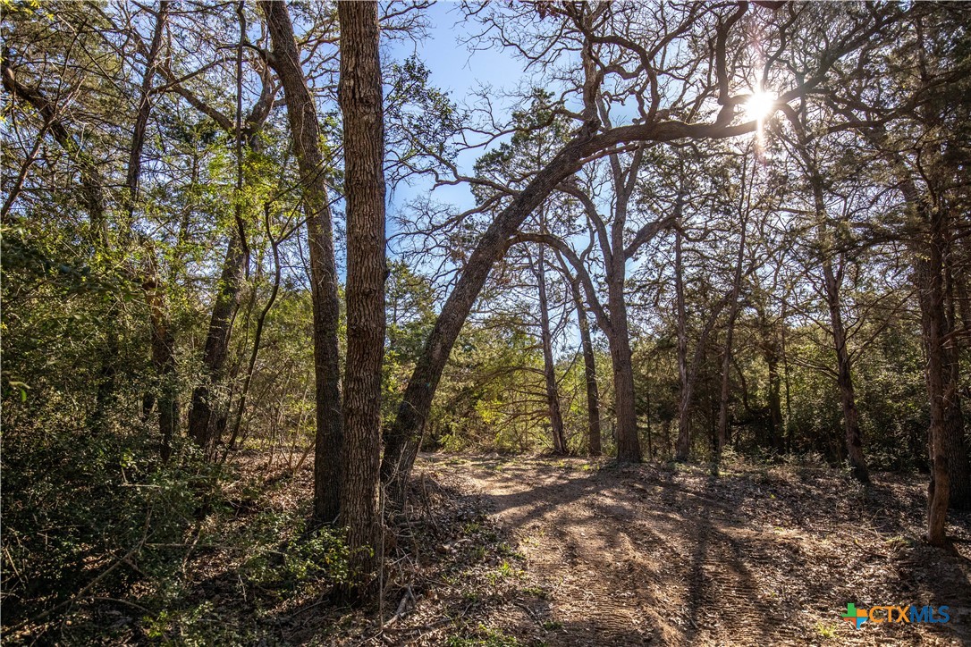 10791 Roy Road Property Photo 17