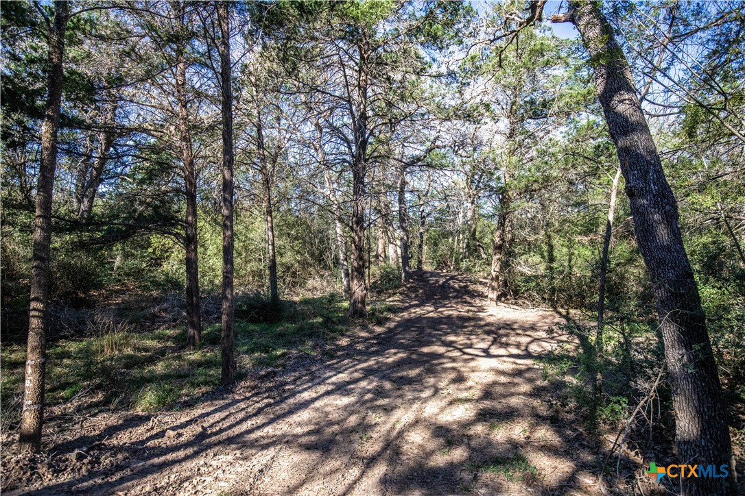 10791 Roy Road Property Photo 18