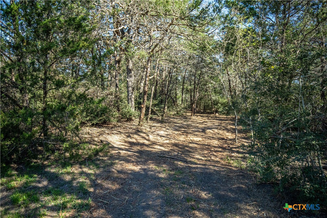 10791 Roy Road Property Photo 23
