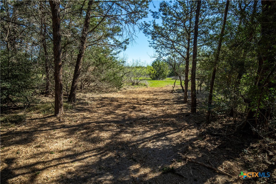 10791 Roy Road Property Photo 24