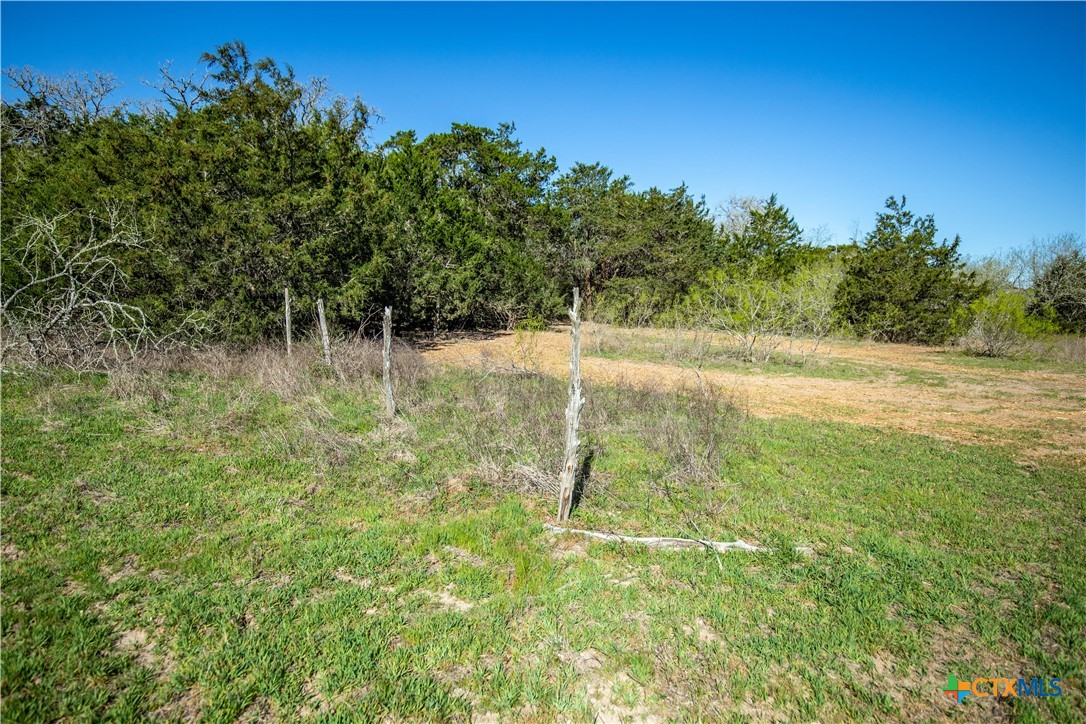 10791 Roy Road Property Photo 25