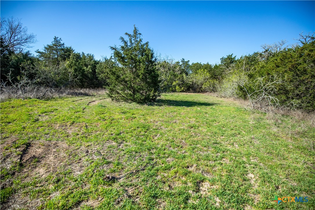 10791 Roy Road Property Photo 26