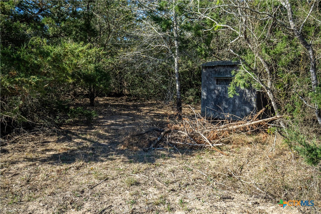10791 Roy Road Property Photo 27