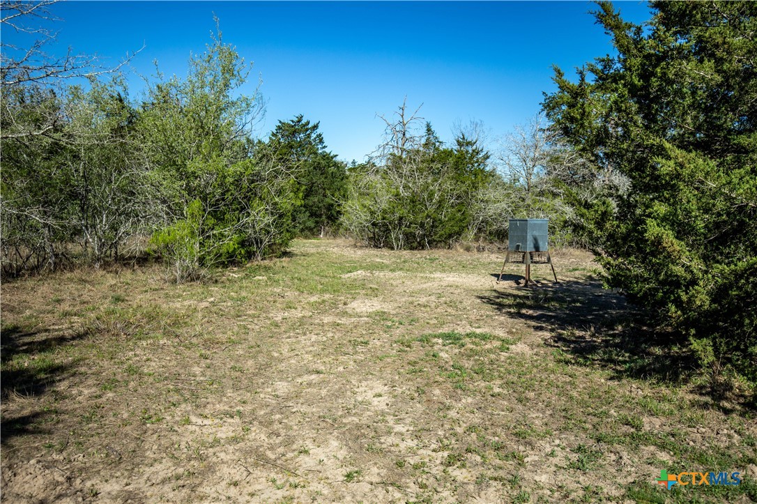 10791 Roy Road Property Photo 28