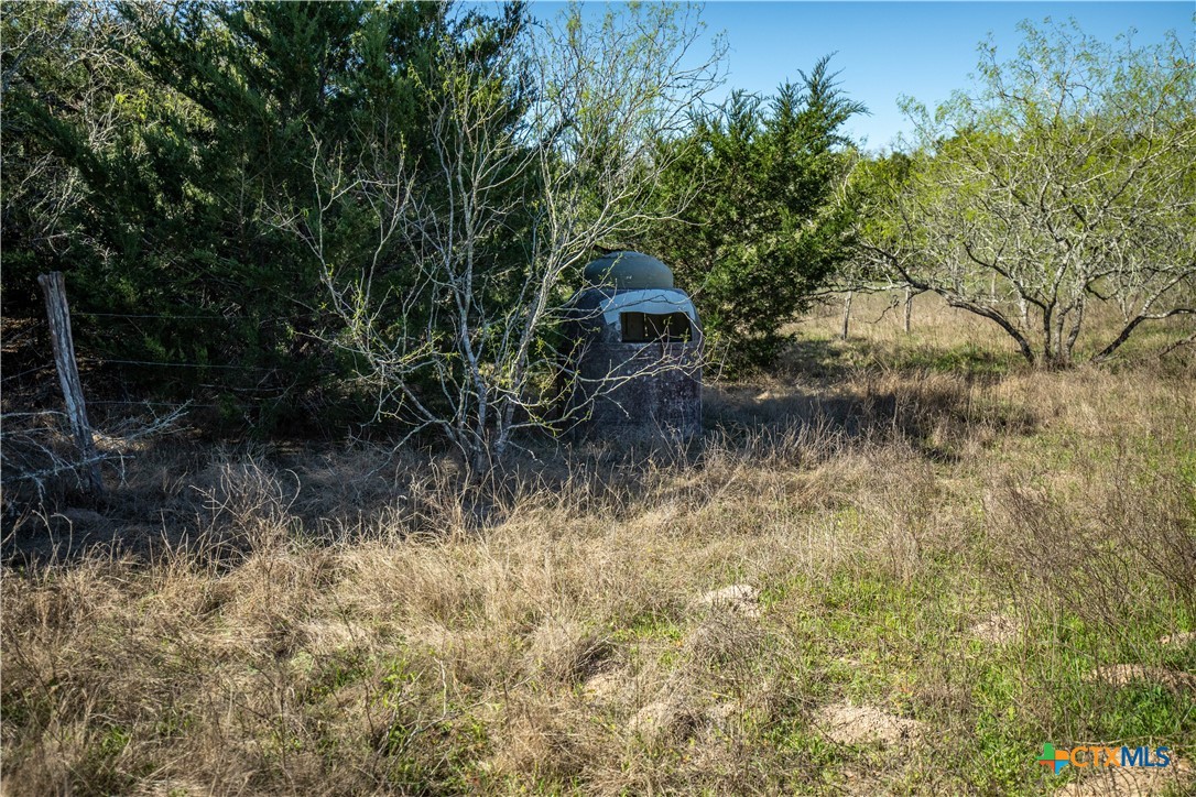 10791 Roy Road Property Photo 29