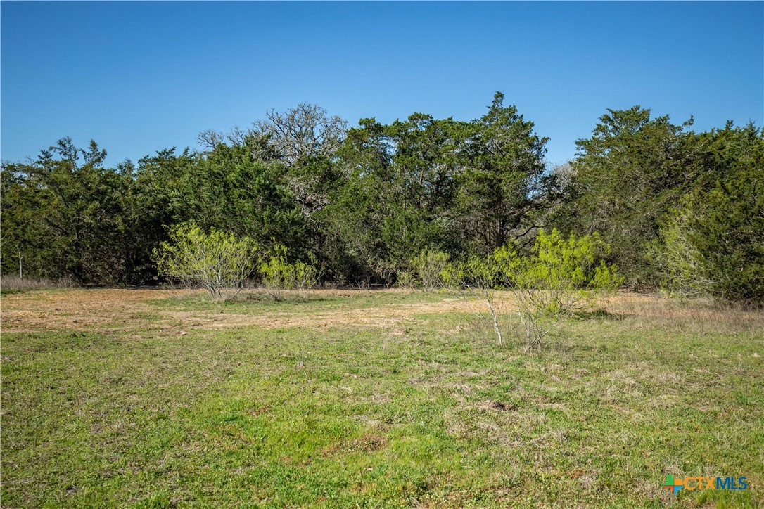 10791 Roy Road Property Photo 30