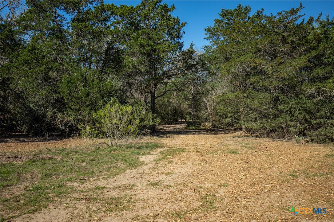 10791 Roy Road Property Photo 31