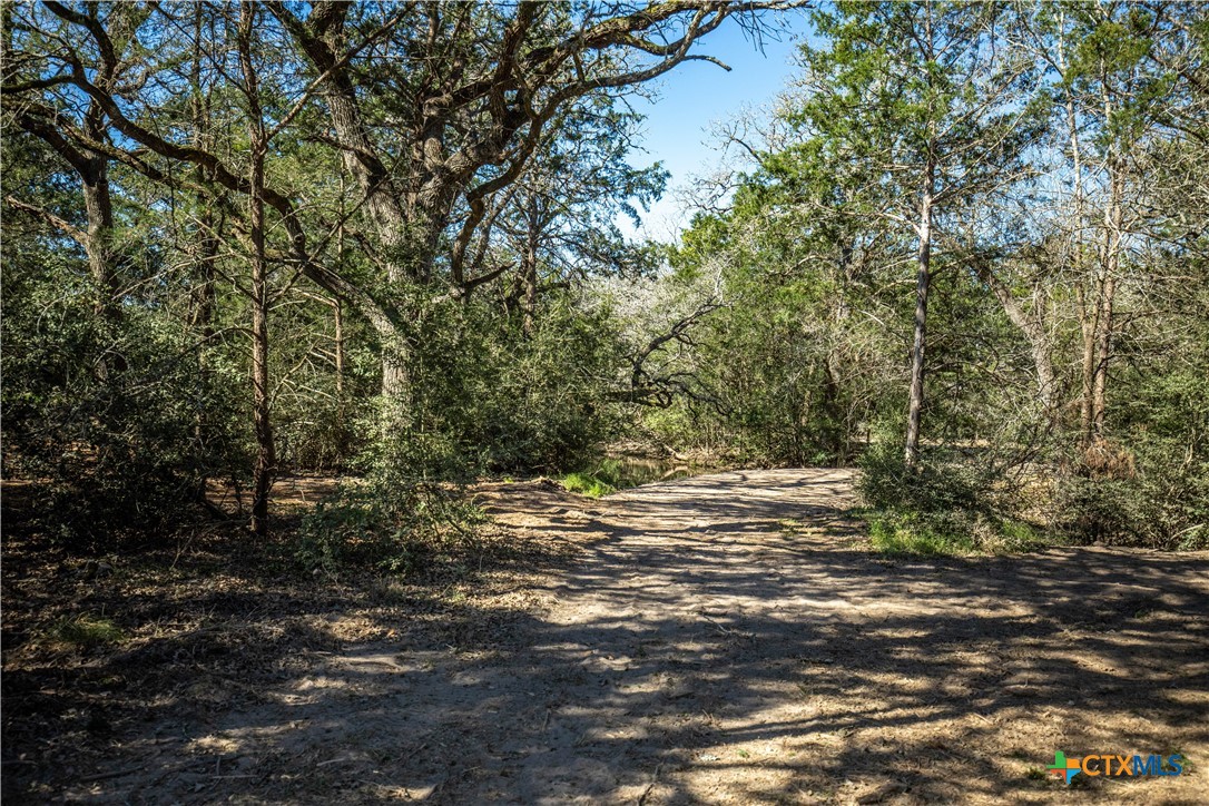 10791 Roy Road Property Photo 32