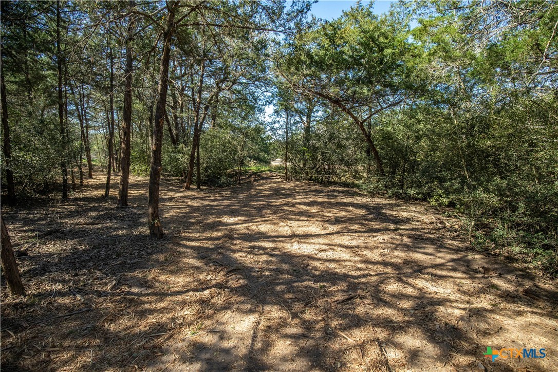 10791 Roy Road Property Photo 33