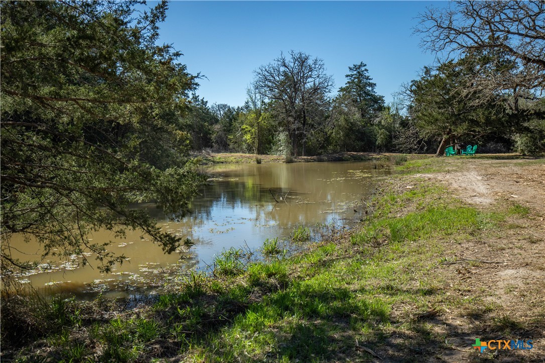 10791 Roy Road Property Photo 37