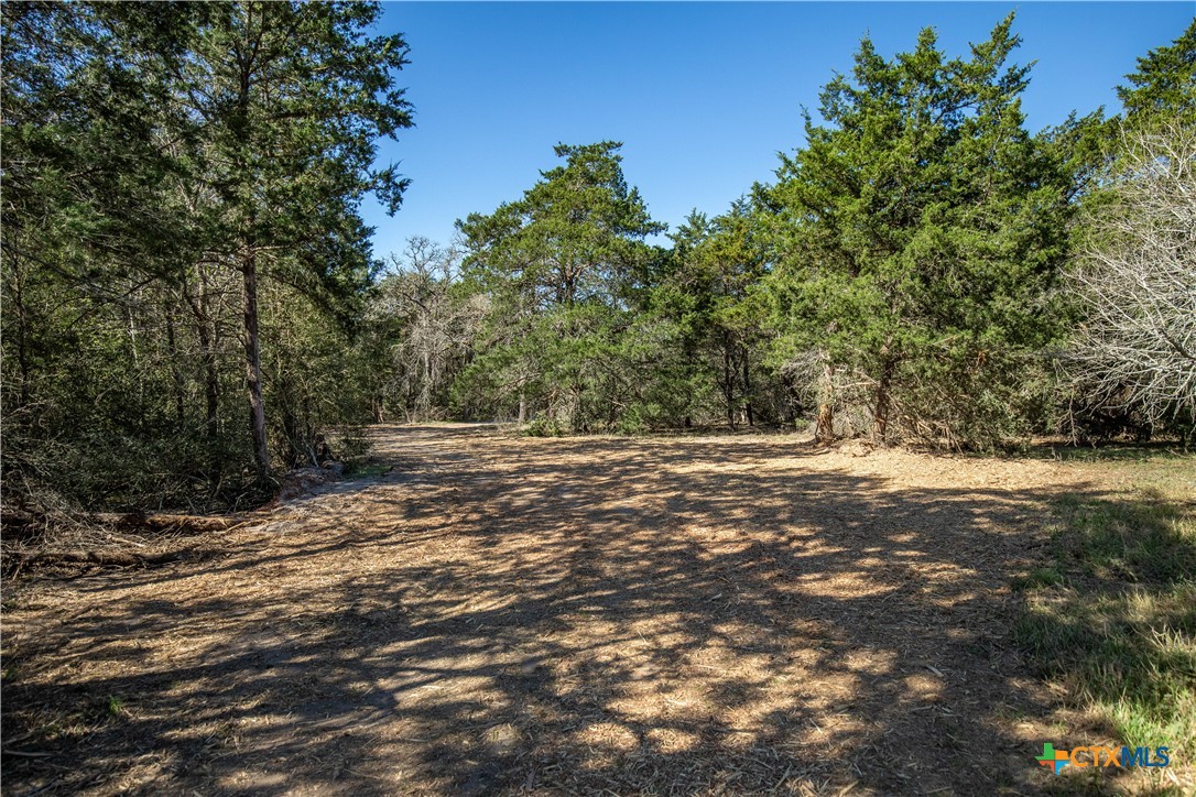 10791 Roy Road Property Photo 38