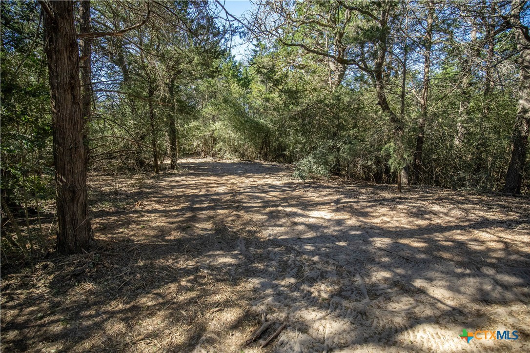 10791 Roy Road Property Photo 39