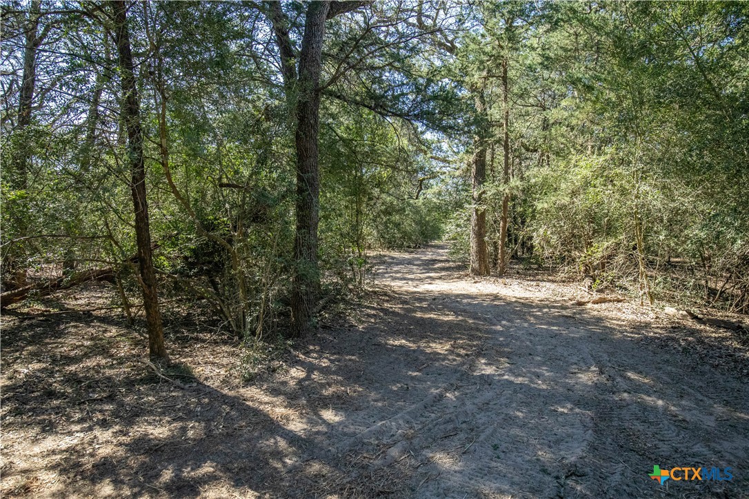 10791 Roy Road Property Photo 40