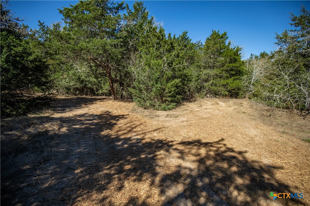 10791 Roy Road Property Photo 41