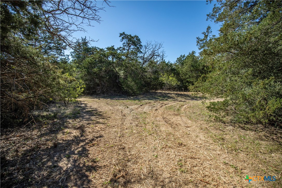10791 Roy Road Property Photo 42