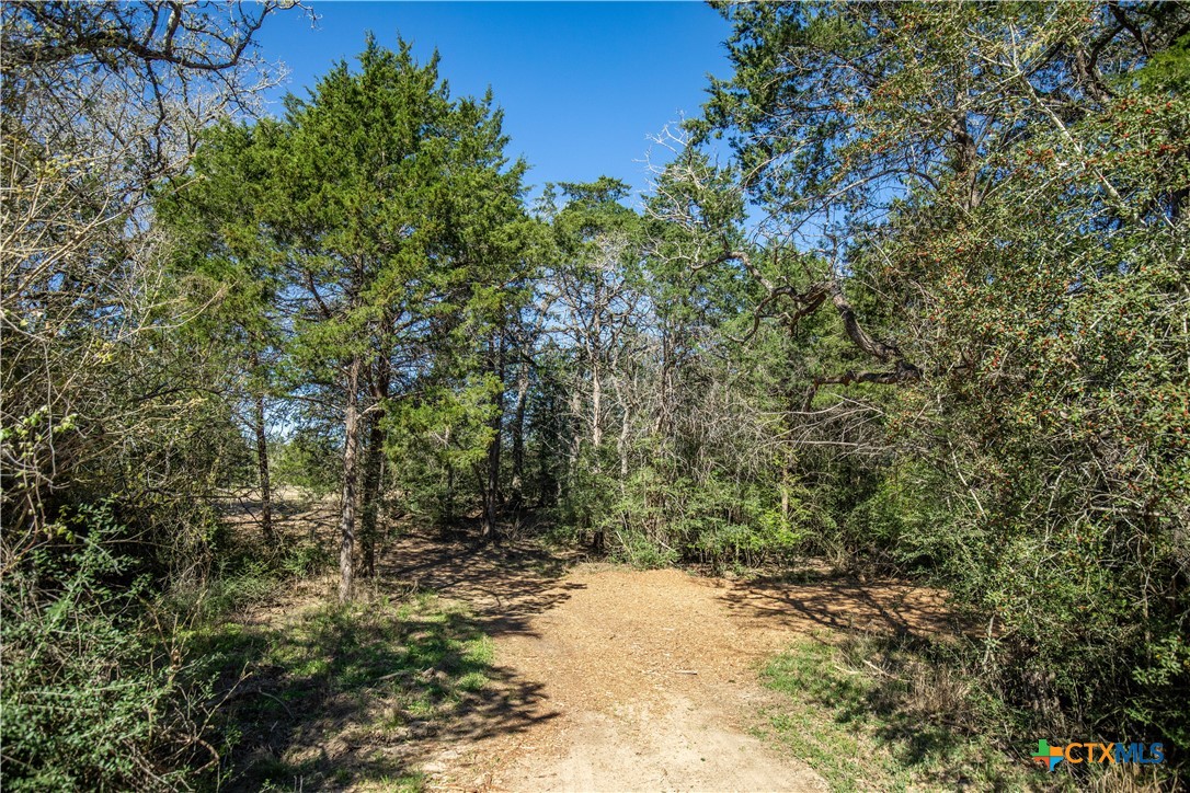 10791 Roy Road Property Photo 43