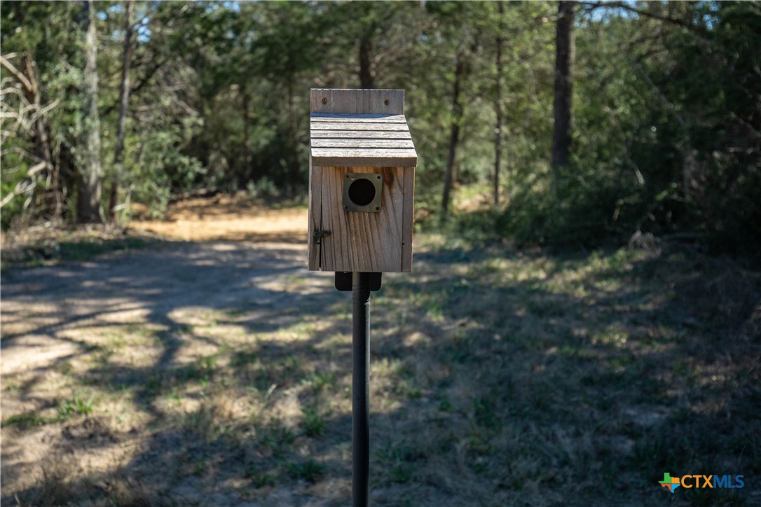 10791 Roy Road Property Photo 44