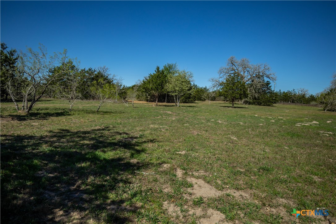 10791 Roy Road Property Photo 45