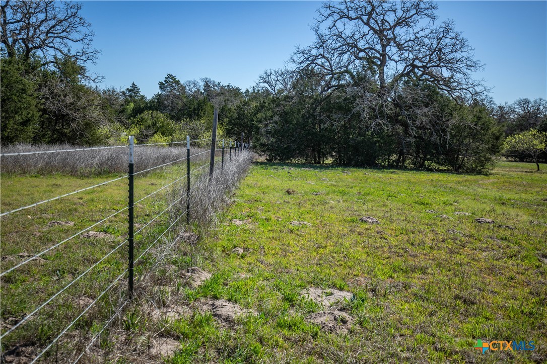 10791 Roy Road Property Photo 47