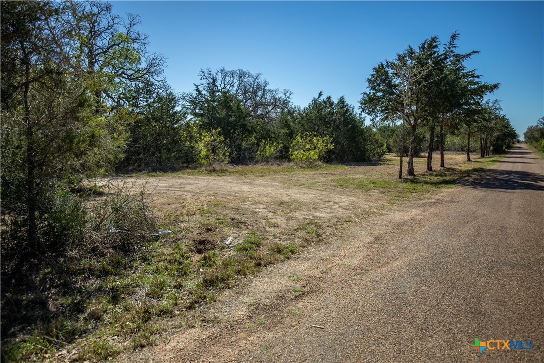 10791 Roy Road Property Photo 48
