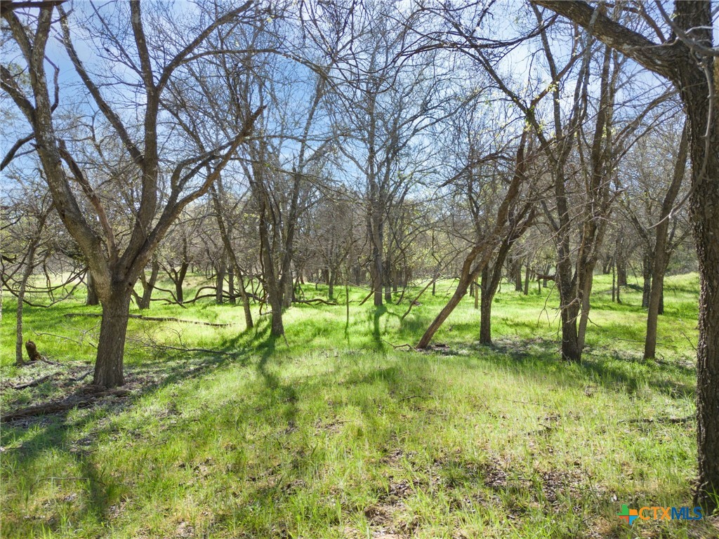 Tbd Pr 1789 Property Photo 10
