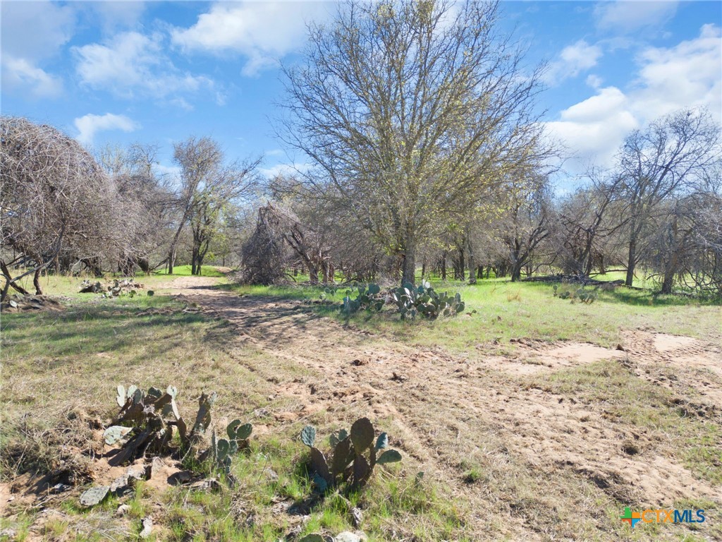 Tbd Pr 1789 Property Photo 14
