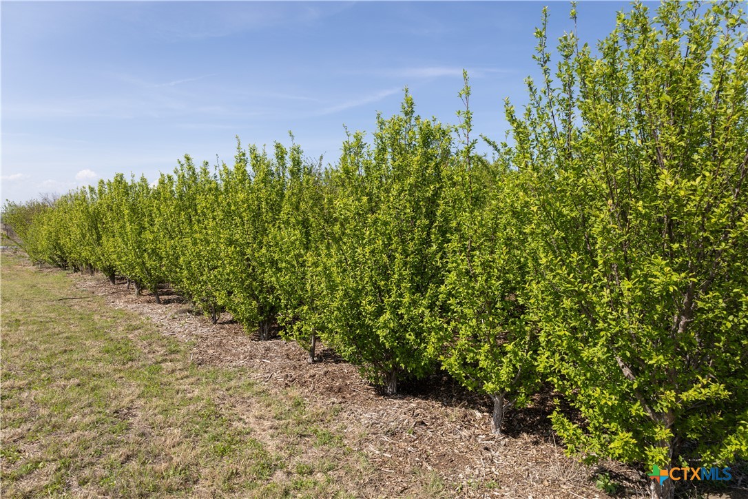 2105 Rohde Road Property Photo 15