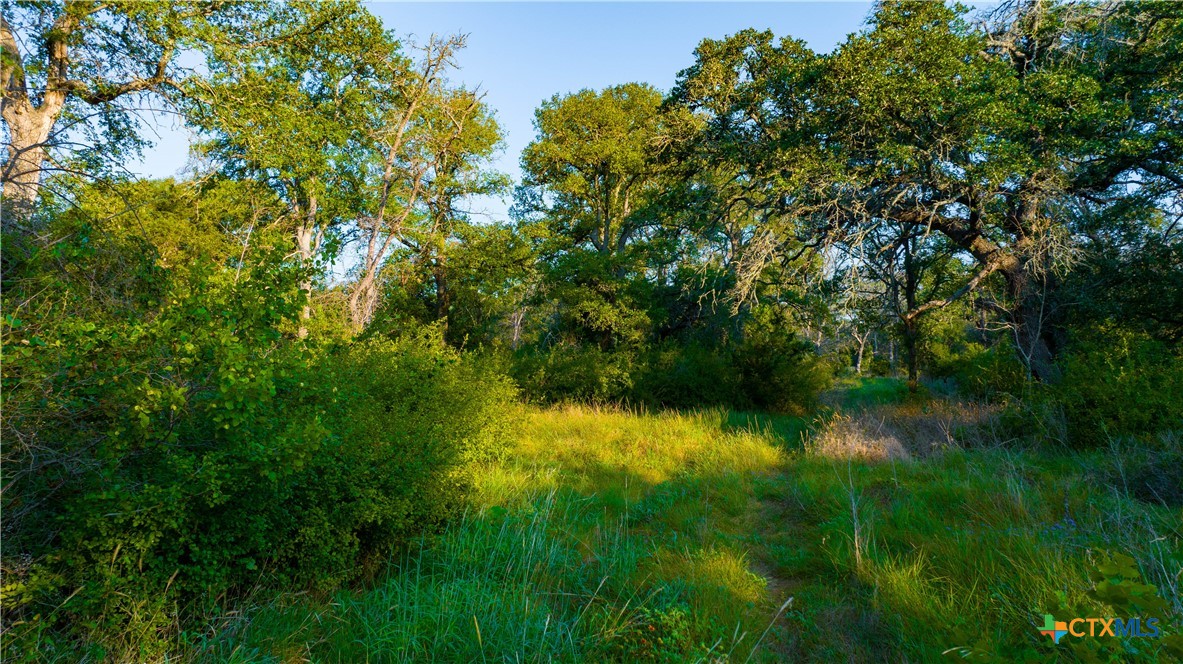 Tbd County Road 243 Property Photo 45