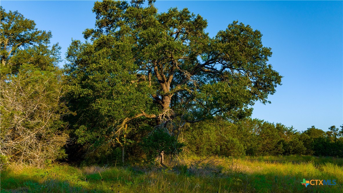 Tbd County Road 243 Property Photo 48