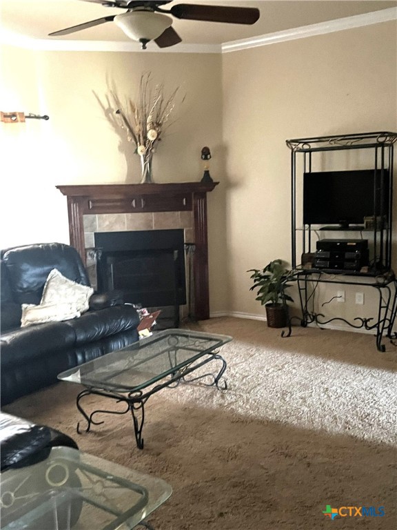 1810 Mike Drive Property Photo 3