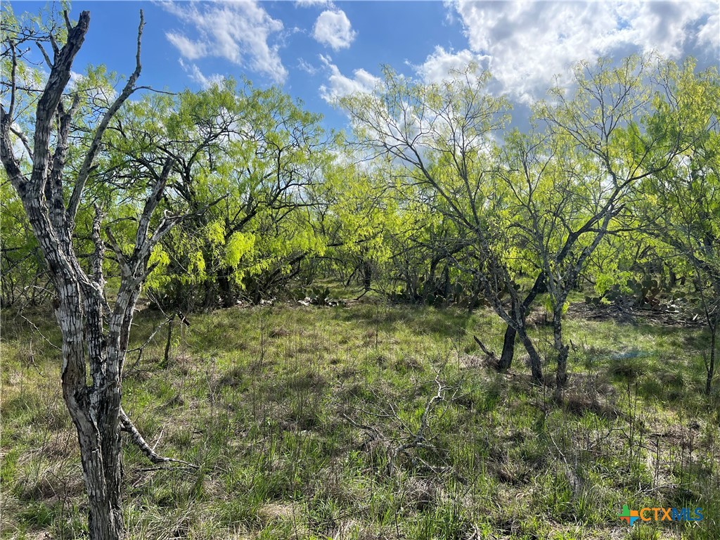 0 Cr 180 Property Photo 4
