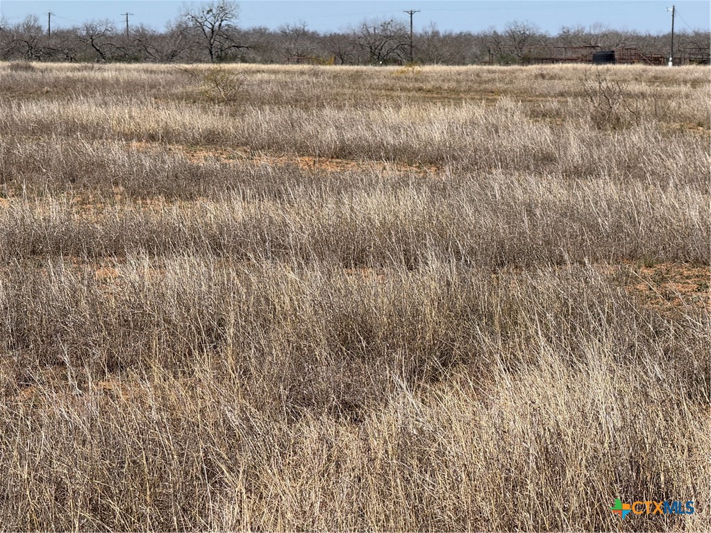 Tract 4 County Road 422 Property Photo 1