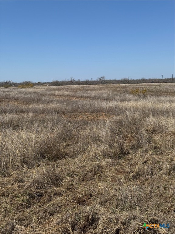 Tract 4 County Road 422 Property Photo 3