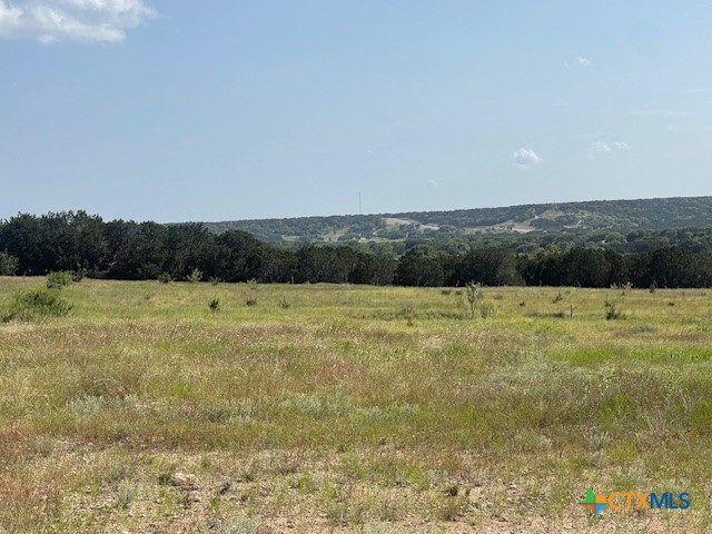 1117 Holden Loop Property Photo 3