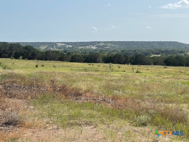 1117 Holden Loop Property Photo 4