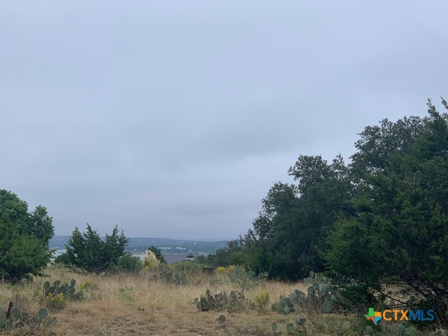 523 Oak Shores Drive Property Photo 8