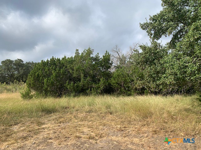 523 Oak Shores Drive Property Photo 11