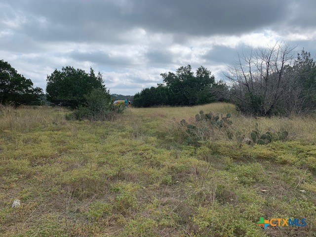 523 Oak Shores Drive Property Photo 12